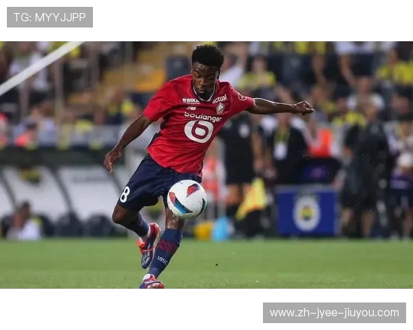 法甲出生的英格兰球员：英格兰球员在法甲的表现